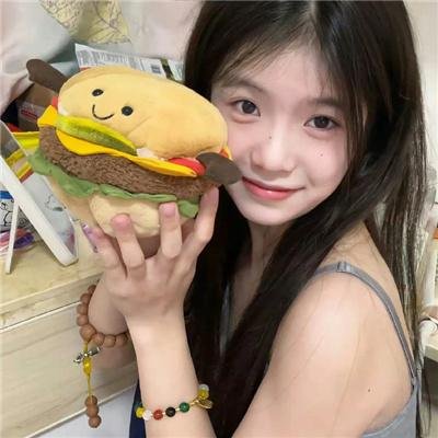 少年天子